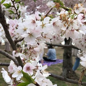 Meet your Posher, Lynn